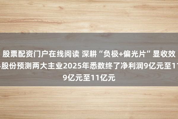 股票配资门户在线阅读 深耕“负极+偏光片”显收效  杉杉股份预测两大主业2025年悉数终了净利润9亿元至11亿元