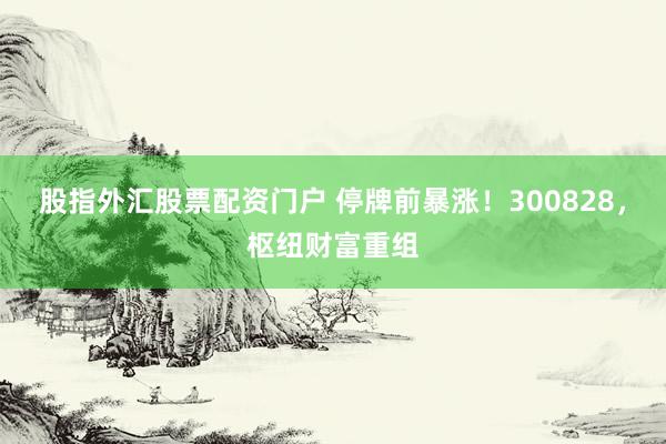 股指外汇股票配资门户 停牌前暴涨！300828，枢纽财富重组