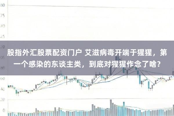 股指外汇股票配资门户 艾滋病毒开端于猩猩，第一个感染的东谈主类，到底对猩猩作念了啥？