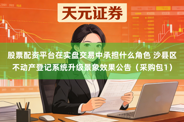股票配资平台在实盘交易中承担什么角色 沙县区不动产登记系统升级景象效果公告（采购包1）